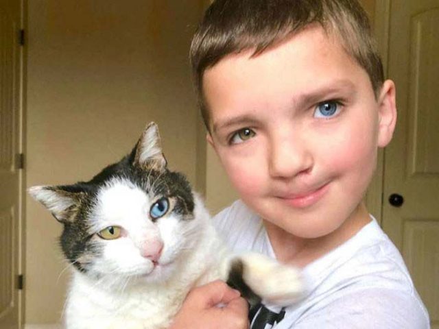 Момче с различни очи взел от приюта котка със същите необичайни очи