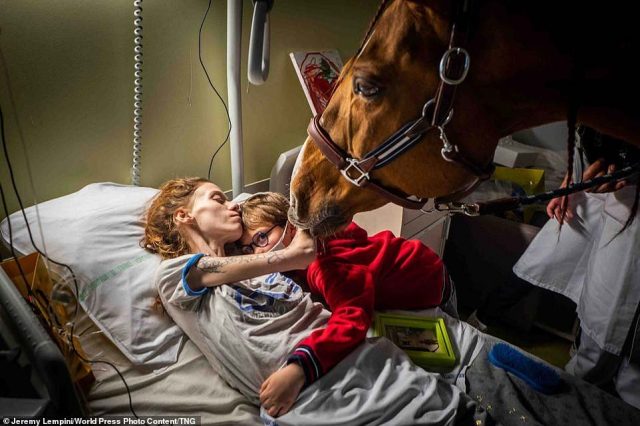 Сърцераздирателна снимка показва кон, утешаващ умираща от рак и нейният син