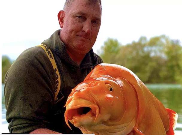 златна-рибка с рибар