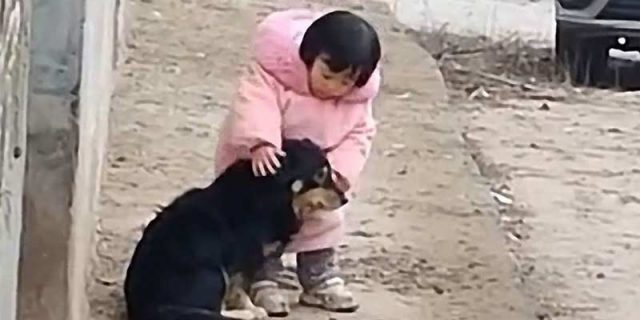 Най-милото видео: момиченце запушва ушите на куче, което се страхува от фойерверки