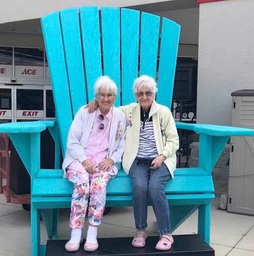 стогодишни-близначки