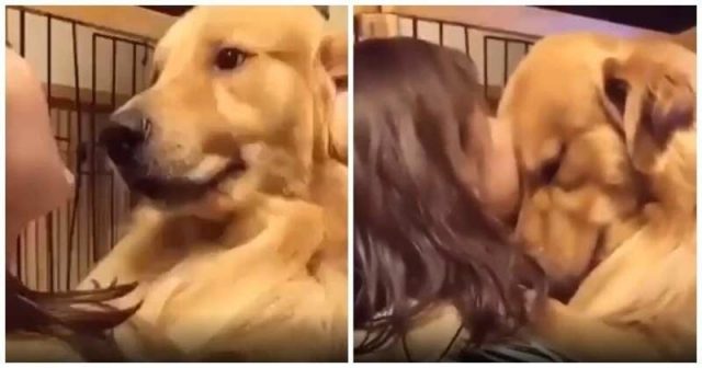 Трогателната реакция на куче, след като го осиновили от приют