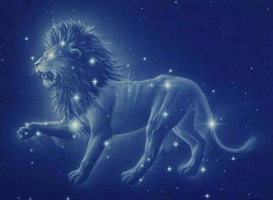 Силни и решителни! 20 факта за зодия Лъв