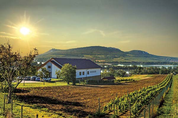Окръг Сонома Калифорния е известен със своите винарни от световна