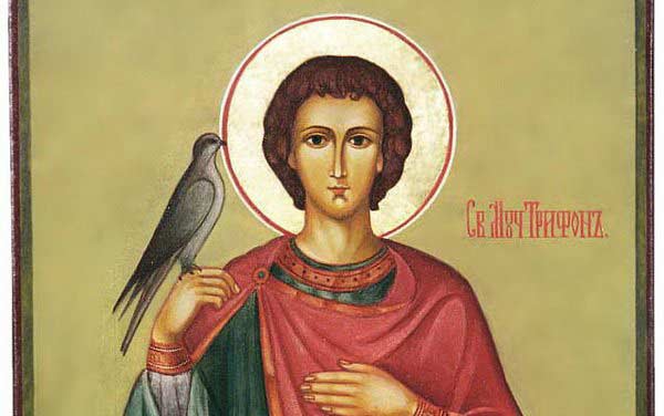 Свети Трифон е християнски мъченик станал известен благодарение на великите