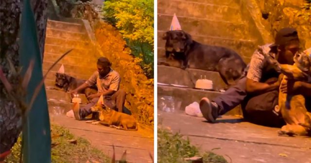 Бездомник организира парти за рождения ден на кучето си (видео)