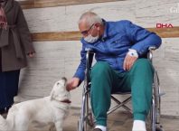 Куче прекарва дни наред пред болницата, за да чака стопанина си (видео)
