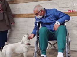 Куче прекарва дни наред пред болницата, за да чака стопанина си (видео)