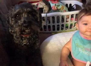 Семейно куче жертвало живота си, за да спаси бебе от горящ дом