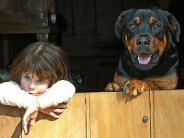 Когато кучето ни почина, 4-годишната ни дъщеря написа писмо до Бог… Когато кучето ни почина, 4-годишната ни дъщеря написа писмо до Бог...
