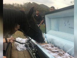Кон се сбогува на погребението на стопанина си, който го спасил от насилници