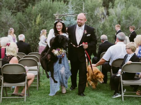 Неизлечимо болно куче дочакало сватбата на стопанката си, за да я види в големия й ден