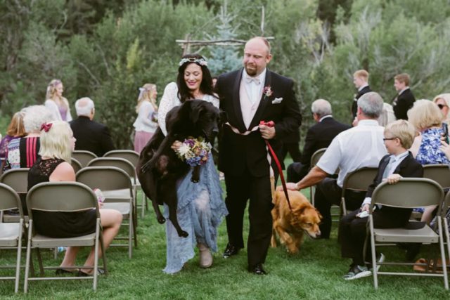 Неизлечимо болно куче дочакало сватбата на стопанката си, за да я види в големия й ден