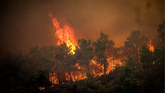Горските пожари на остров Родос излязоха извън контрол, евакуират хиляди (видео)