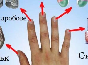 Всеки пръст е свързан с два органа: японски метод лекува всяка болежка за минути