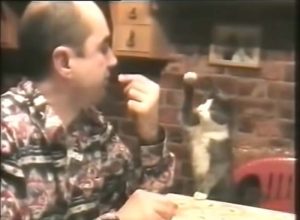 Ще бъдете изумени, като видите как котка общува с глухия си стопанин (видео)