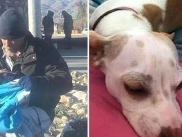 Бездомник спасил изоставено куче и това променило живота му завинаги