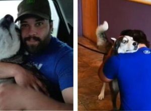Мъж загубил любимото си куче, но след 4 г се срещнали отново. Срещата им е трогателна (видео)