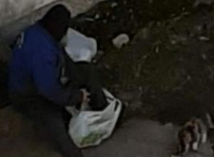 Постъпката на този бездомен дядо, когато до него се приближи улична котка, разплака България
