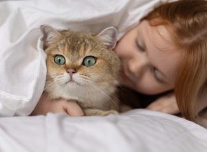 Доказано: спането с кучета и котки в едно легло е много полезно за стопаните