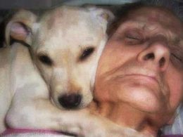 Тя изпаднала в кома. И само кучето й вярвало в нея Тя изпаднала в кома. И само кучето й вярвало в нея